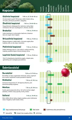 LIDL leidinys galioja nuo 30.03.2026 | Puslapis: 5 | Prekių: Morkos