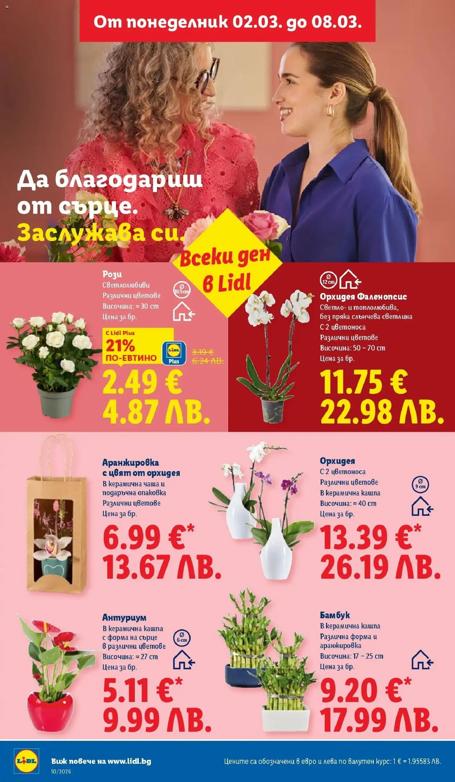 {H1} | Страница: 18 | Продукти: Кашпа, Чаша, Орхидея