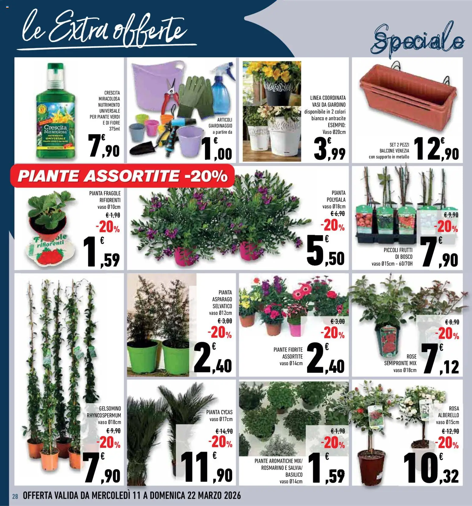Volantino Conad del 11.03.2026 | Pagina: 28 | Prodotti: Rosmarino, Fragole, Basilico, Vaso