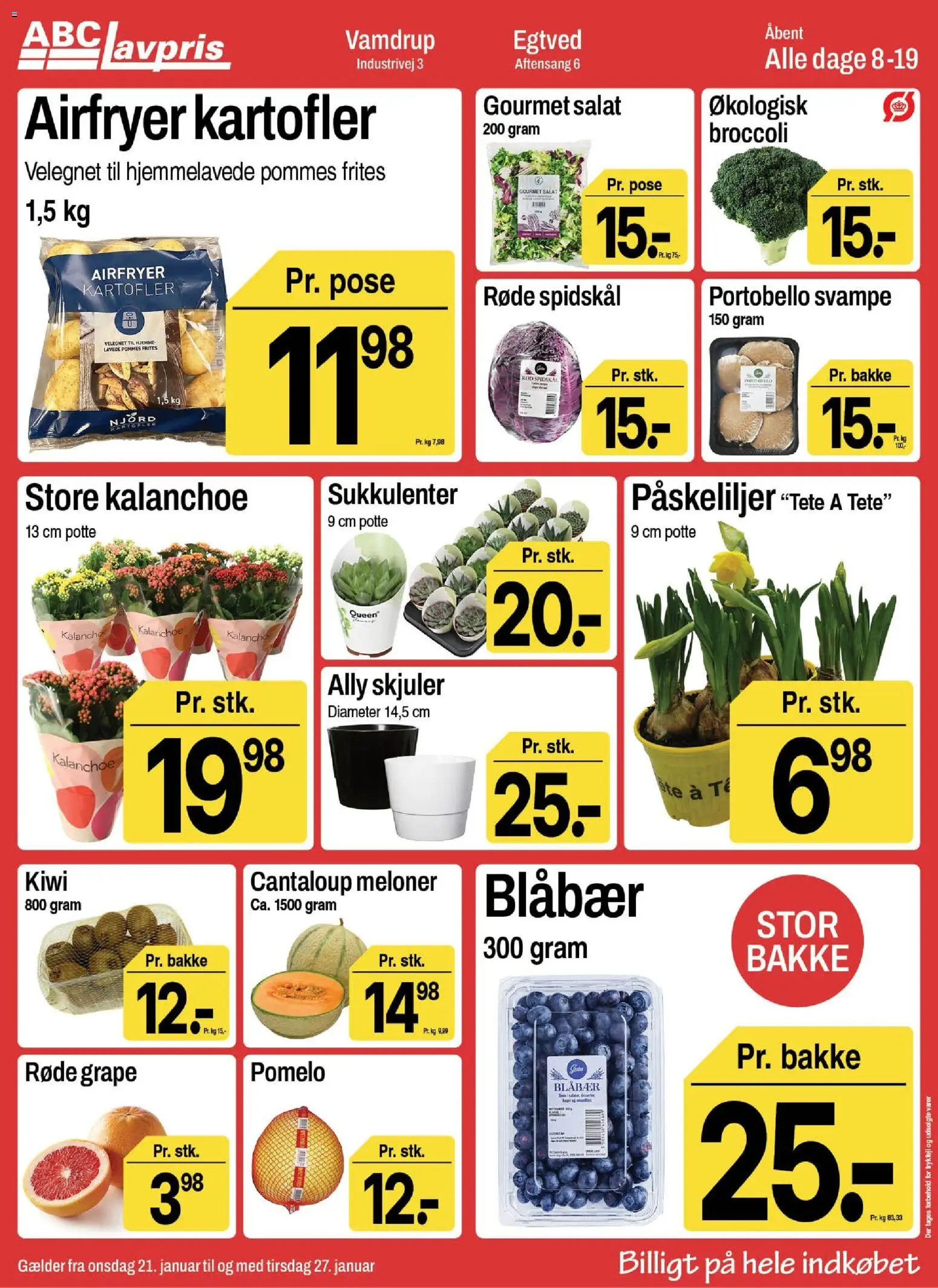 Abc Lavpris tilbudsavis – gyldig fra 21.01.2026 | Side: 3 | Produkter: Svampe, Kiwi, Salat, Kager