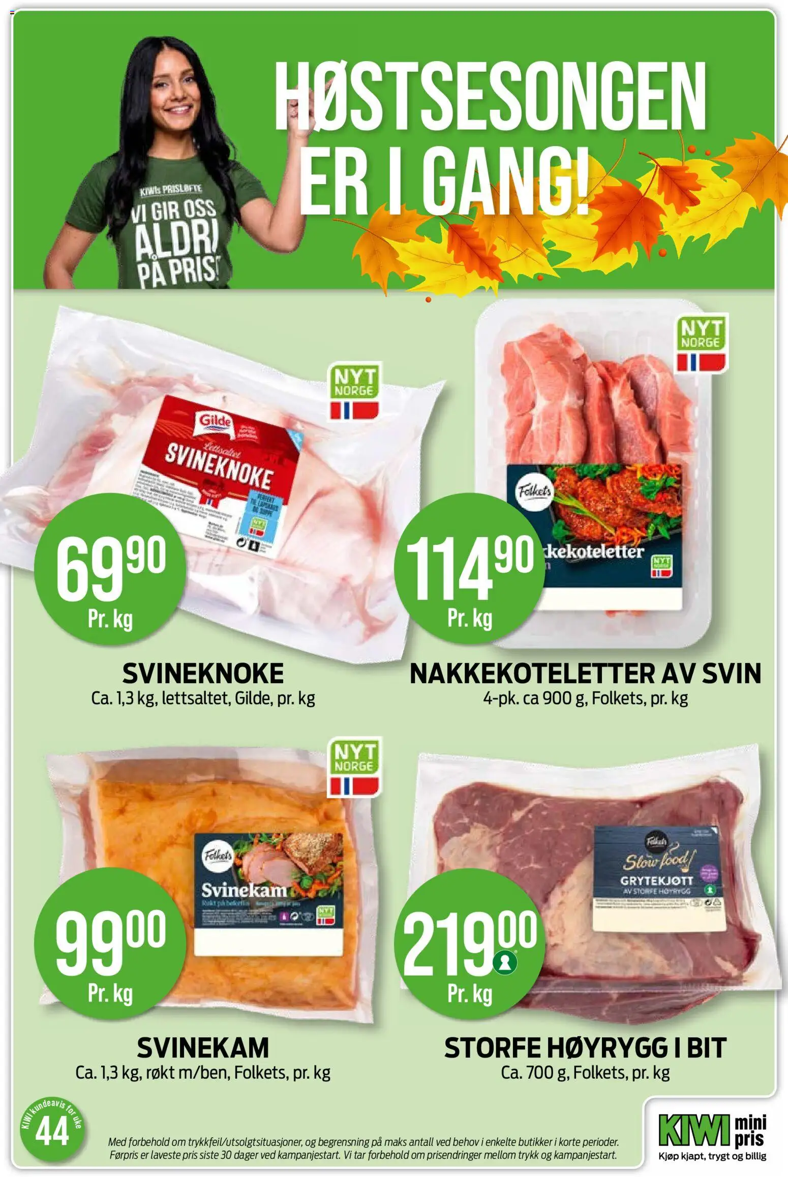 {H1} | Side: 22 | Produkter: Svin, Kiwi, Električni radiator