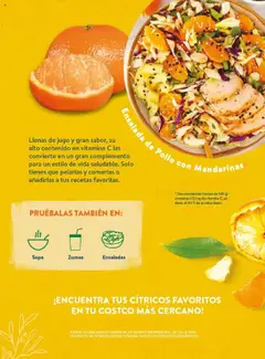 Costco catálogo │ válido desde el 08.04.2025 | Página: 85 | Productos: Jugo, Mandarinas, Ensalada