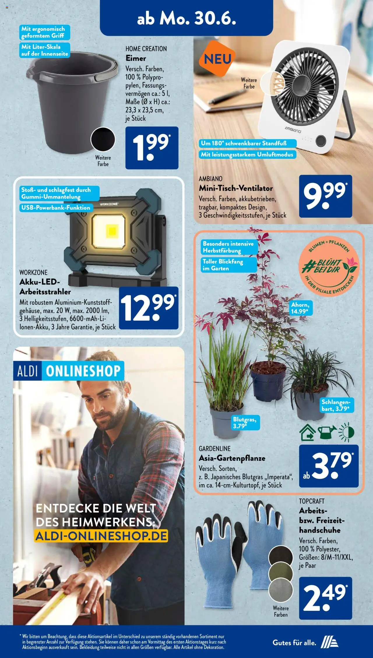 Aldi Süd Prospekt 	 - gültig ab dem 30.06.2025 | Seite: 13 | Produkte: T-Shirt, Blumen, Bekleidung, Lavendel