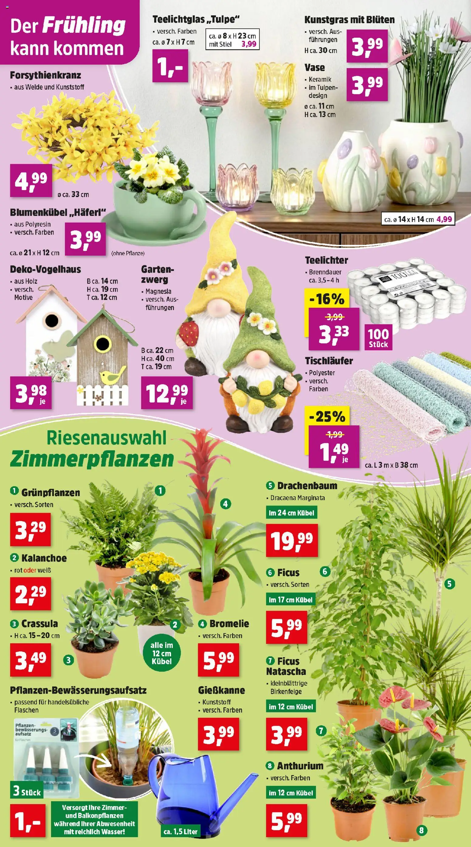 Thomas Philipps Flugblatt gültig ab 26.01.2026 | Seite: 4 | Produkte: Wasser, Vase
