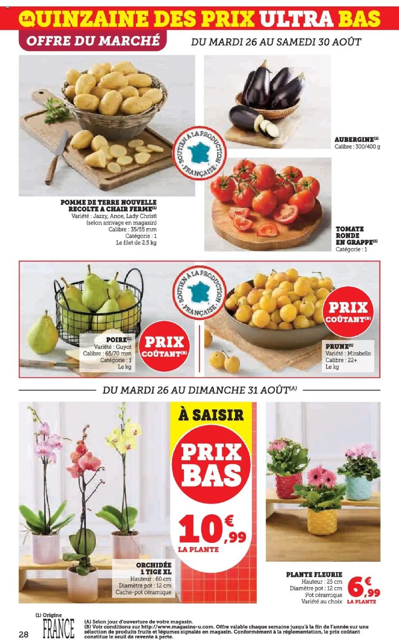  | Page: 28 | Produits: Pomme, Pomme de terre, Orchidée