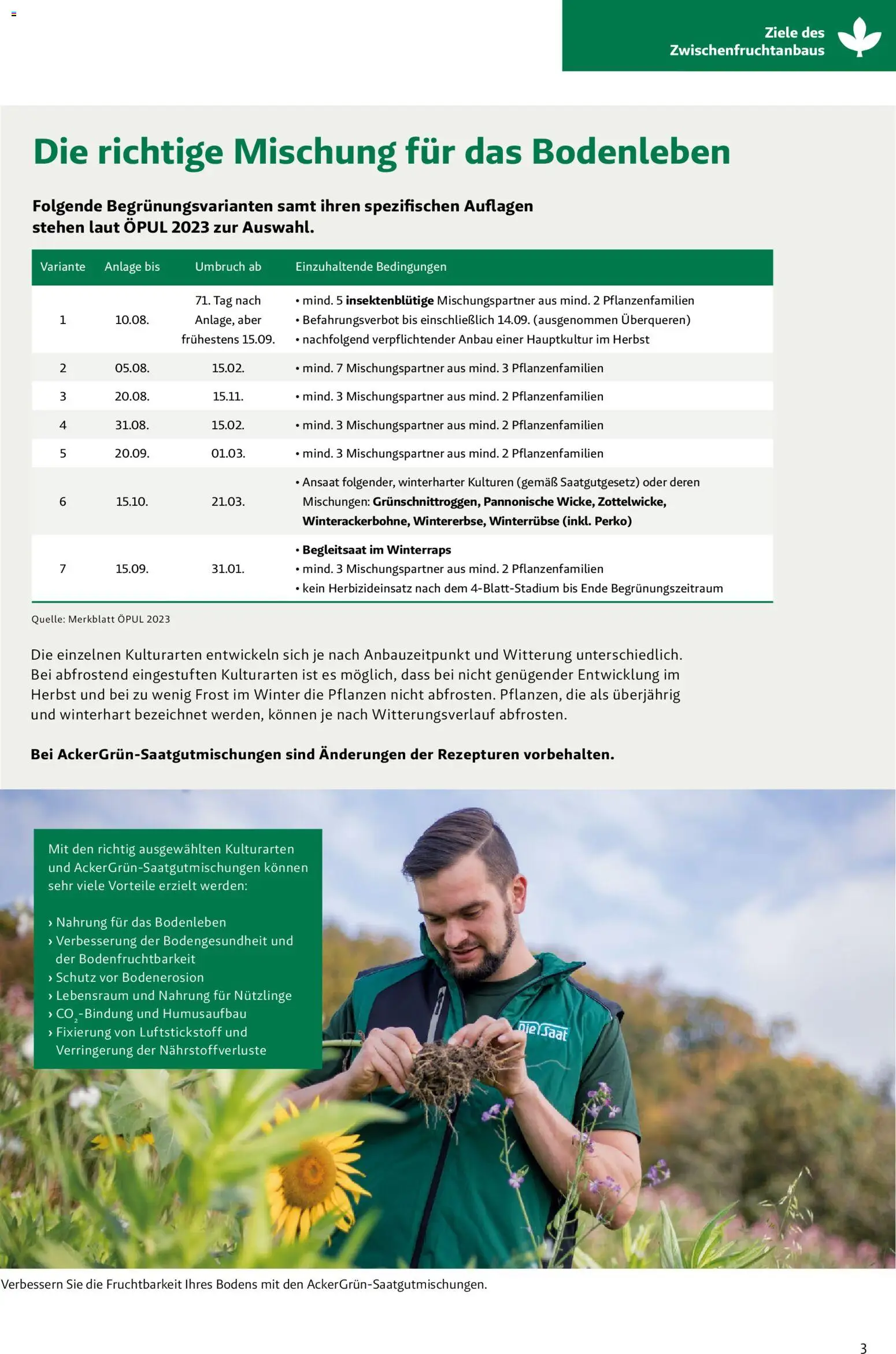 Lagerhaus Zwischenfrüchte und Begrünungen 2026 gültig ab 26.03.2026 | Seite: 3