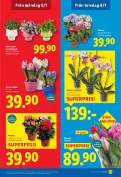 Lidl - erbjudanden - Förhandsvisning av reklamblad från butik Lidl aktuell från 05.01.2026 | Sida: 20 | Produkter: Keramikkruka