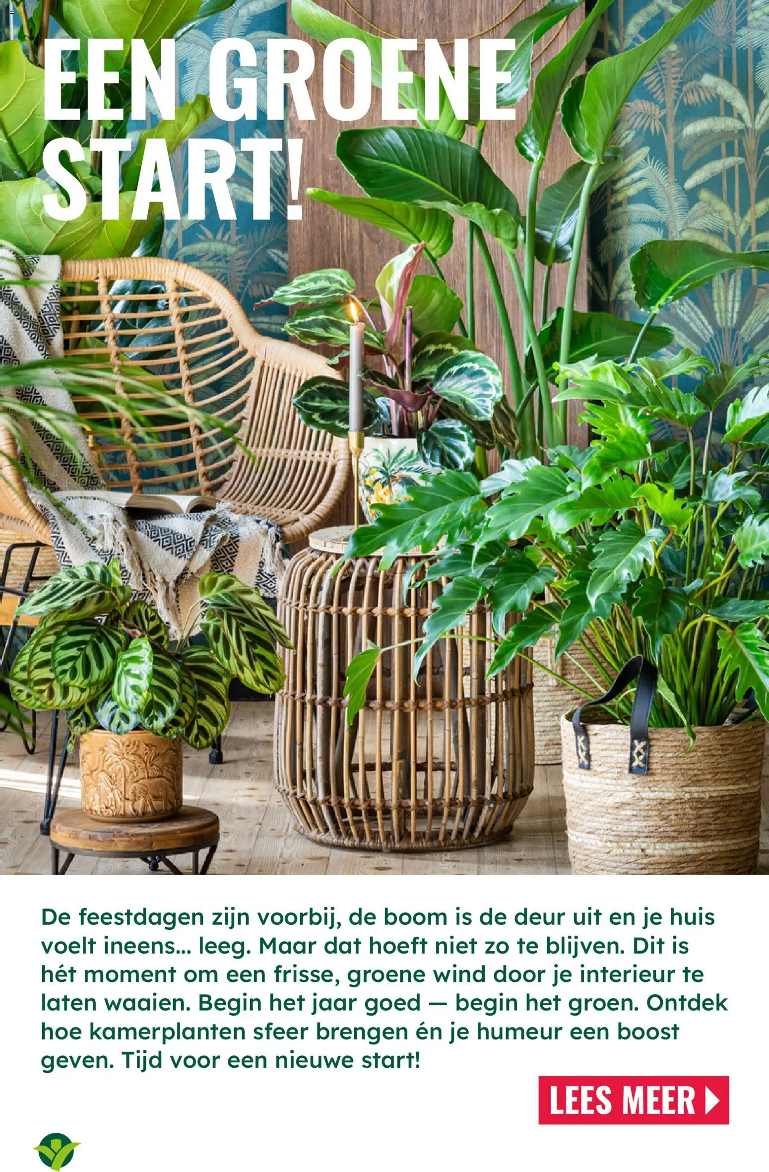 {H1} | Pagina: 2 | Producten: Kamerplanten, Boost