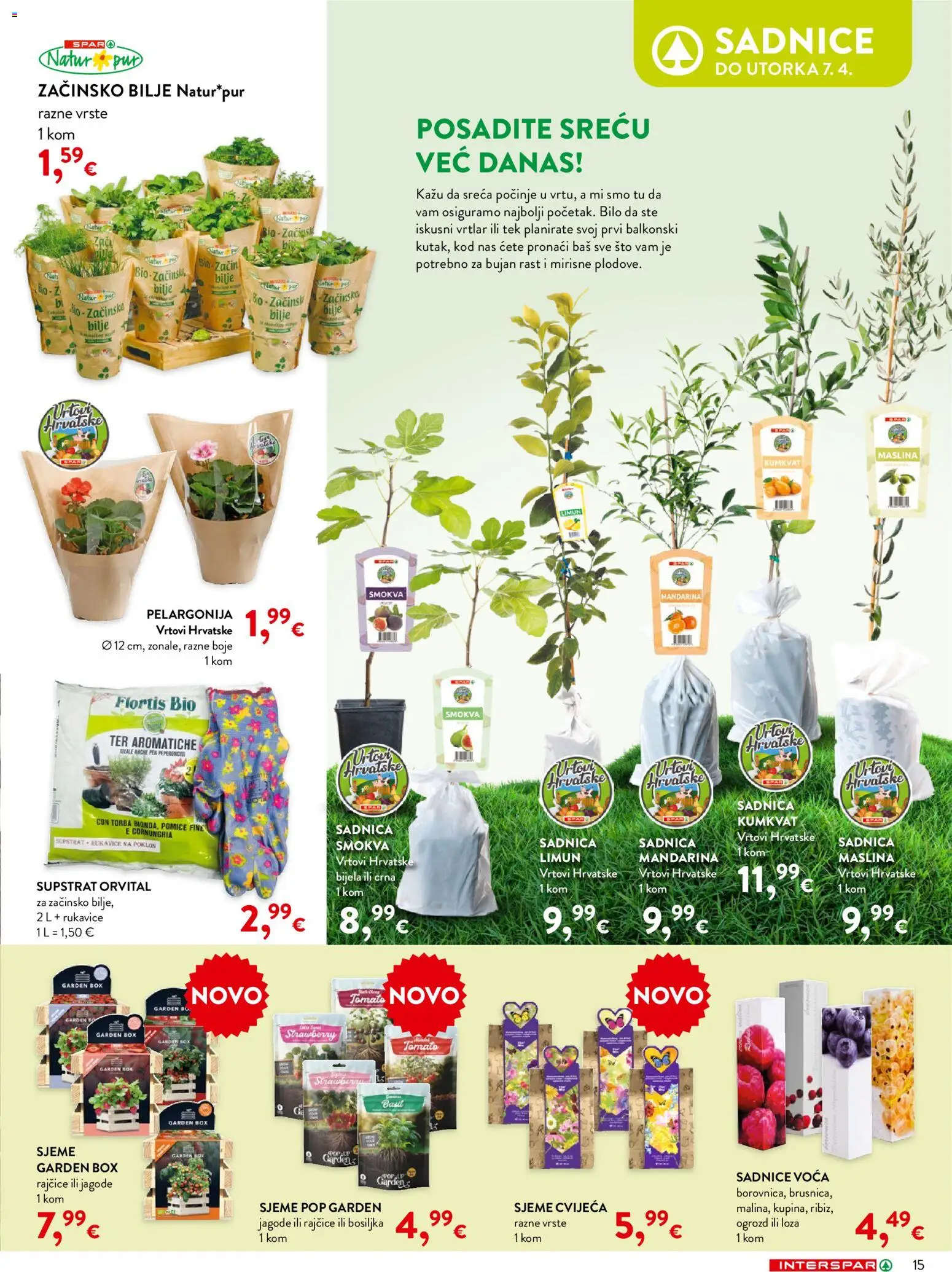 Interspar katalog | vrijedi od 04.03.2026 | Stranica: 15 | Proizvodi: Rajčice, Jagode, Rukavice, Torba