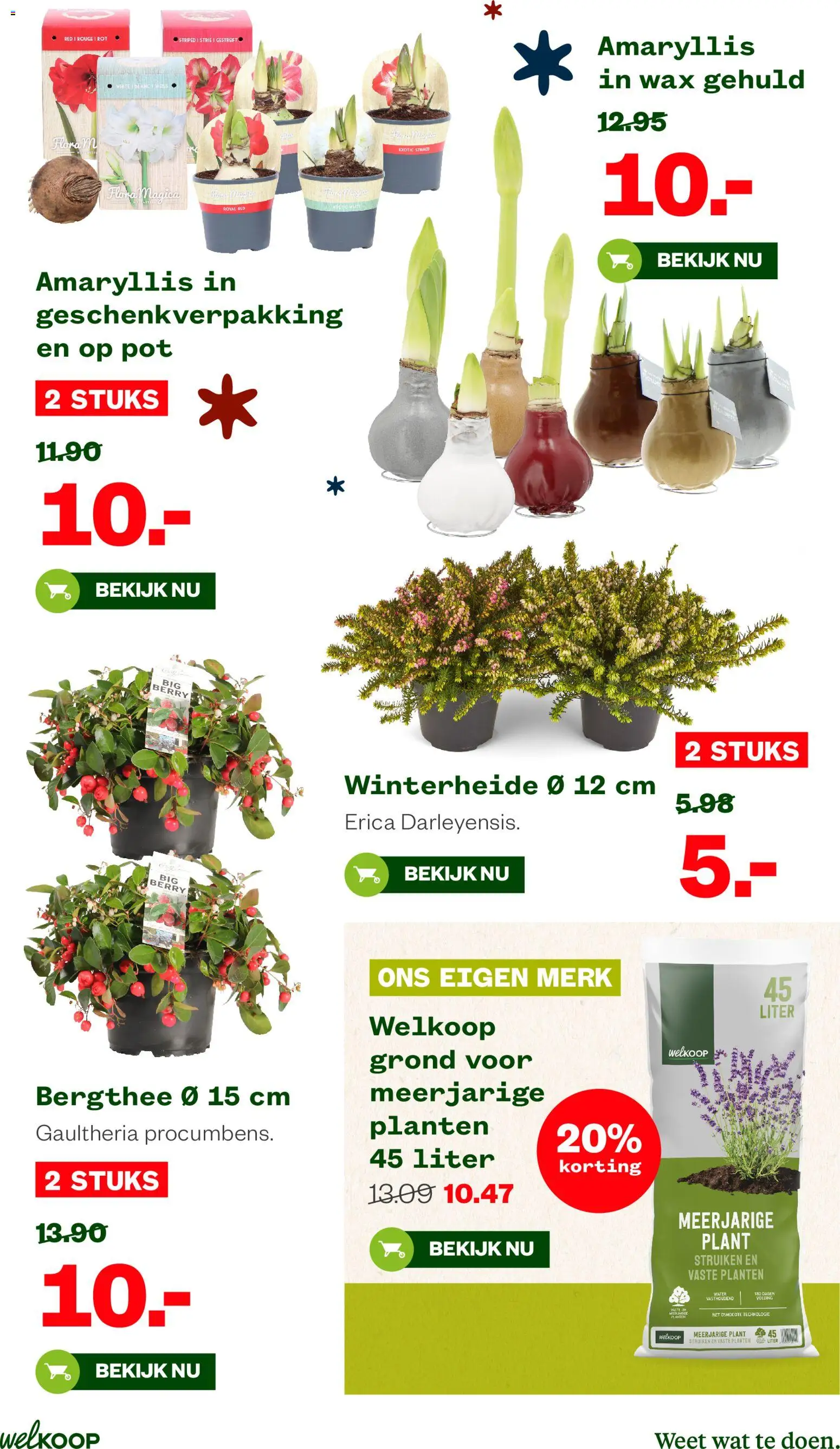 {H1} | Pagina: 15 | Producten: Pot, Festék