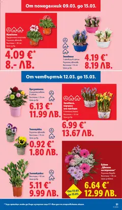 Преглед на Лидл Cедмична брошура - Офертите са валидни от 09.03.2026 | Страница: 51 | Продукти: Кашпа, Саксия