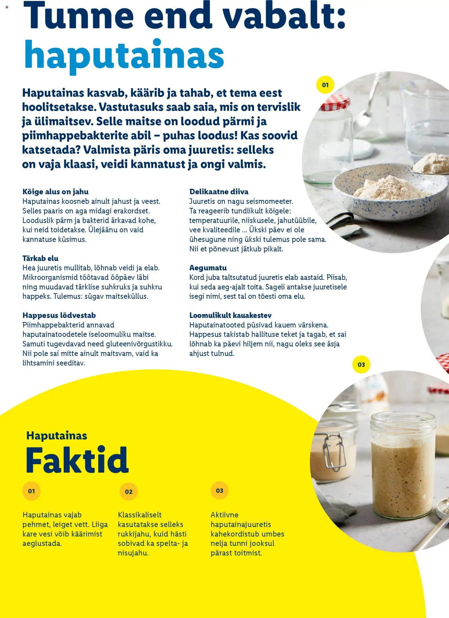 {H1} | Lehekülg: 36