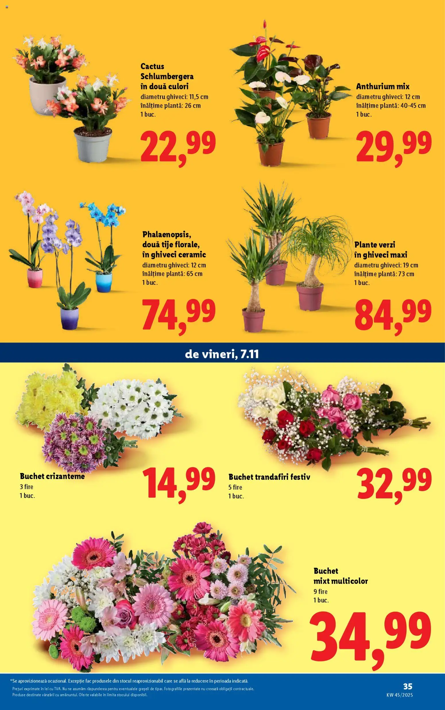 Noul catalog Lidl – valabil de la 03.11.2025 | Pagină: 35 | Produse: Ghiveci