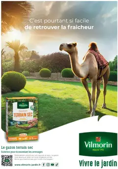 Mr. Bricolage - Prévisualisation de Mr. Bricolage catalogue valide à partir de 22.09.2025 | Page: 85 | Produits: Gazon