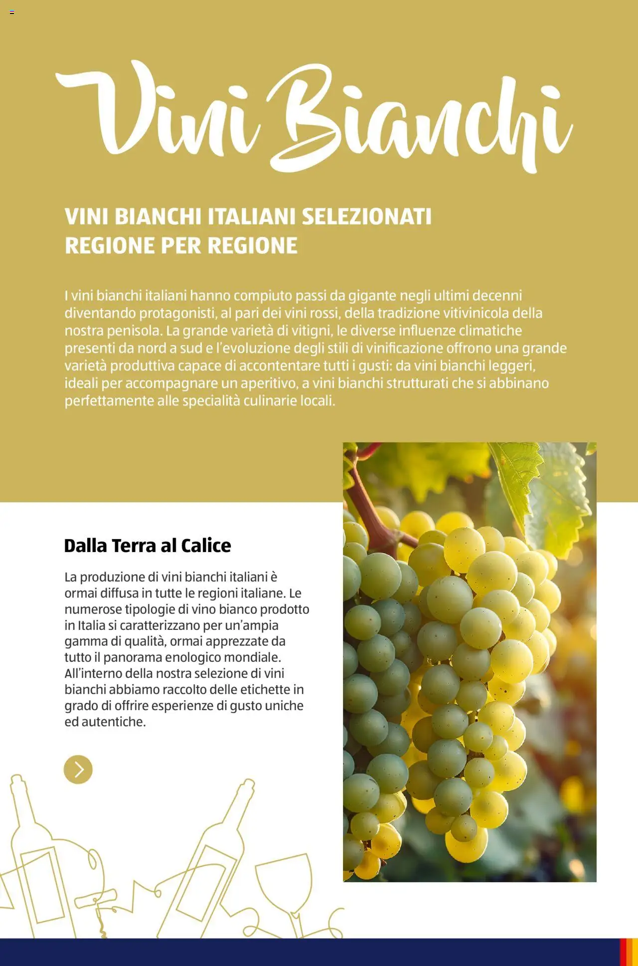 Volantino Aldi del 05.11.2024 | Pagina: 26 | Prodotti: Calice, Vino, Vino bianco, Terra