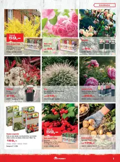 Náhled letáku Uni Hobby leták od 05.03.2026 | Strana: 3