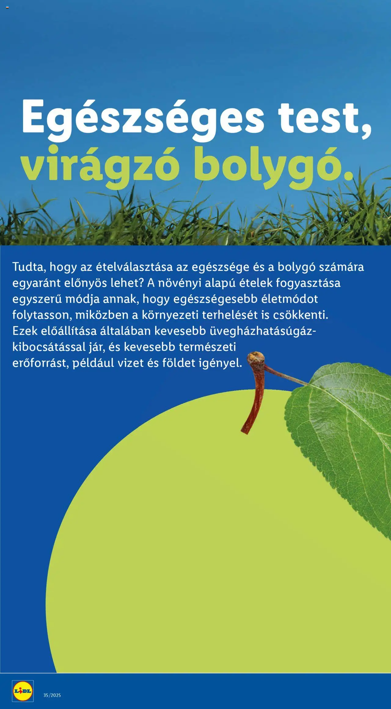 Lidl akciós ujság - amely érvényes a következő dátumtól: 28.08.2025 | Oldal: 32