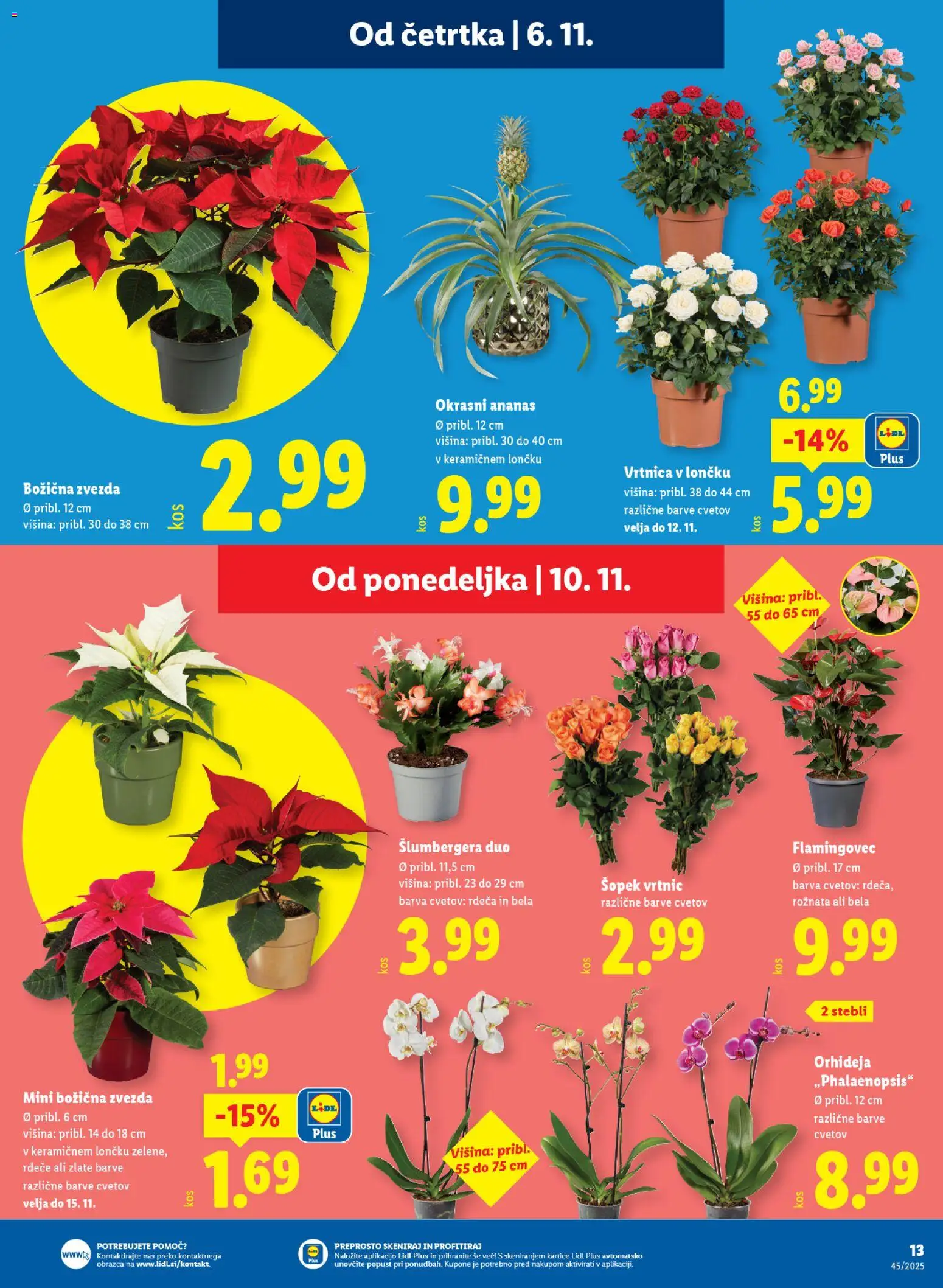 Novi Lidl katalog ponudbe – veljaven od 06.11.2025 | Stran: 29 | Izdelki: Šopek, Ananas, Barva