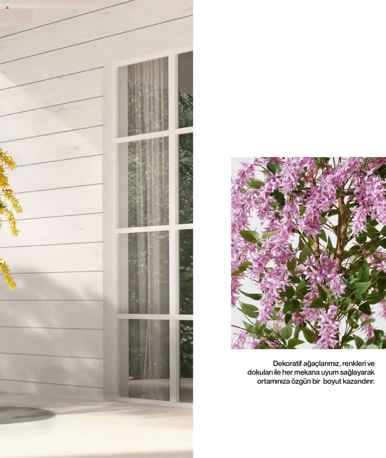 Mudo Katalog - BAHÇE 2025 - 04.06.2025 tarihinden itibaren geçerlidir | Sayfa: 171