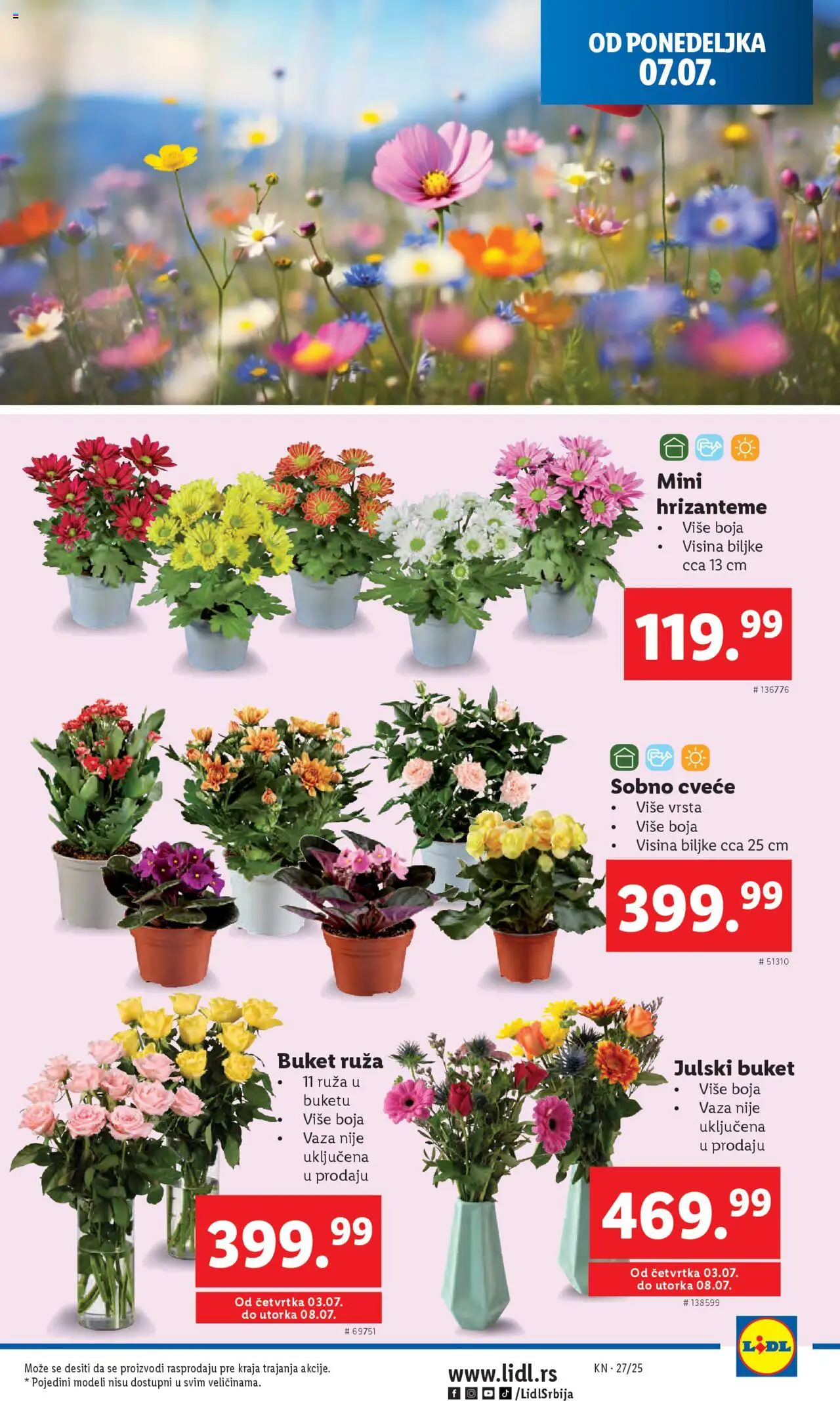 Lidl katalog - važi od 03.07.2025 | Strana: 53 | Proizvode: Vaza, Cvece