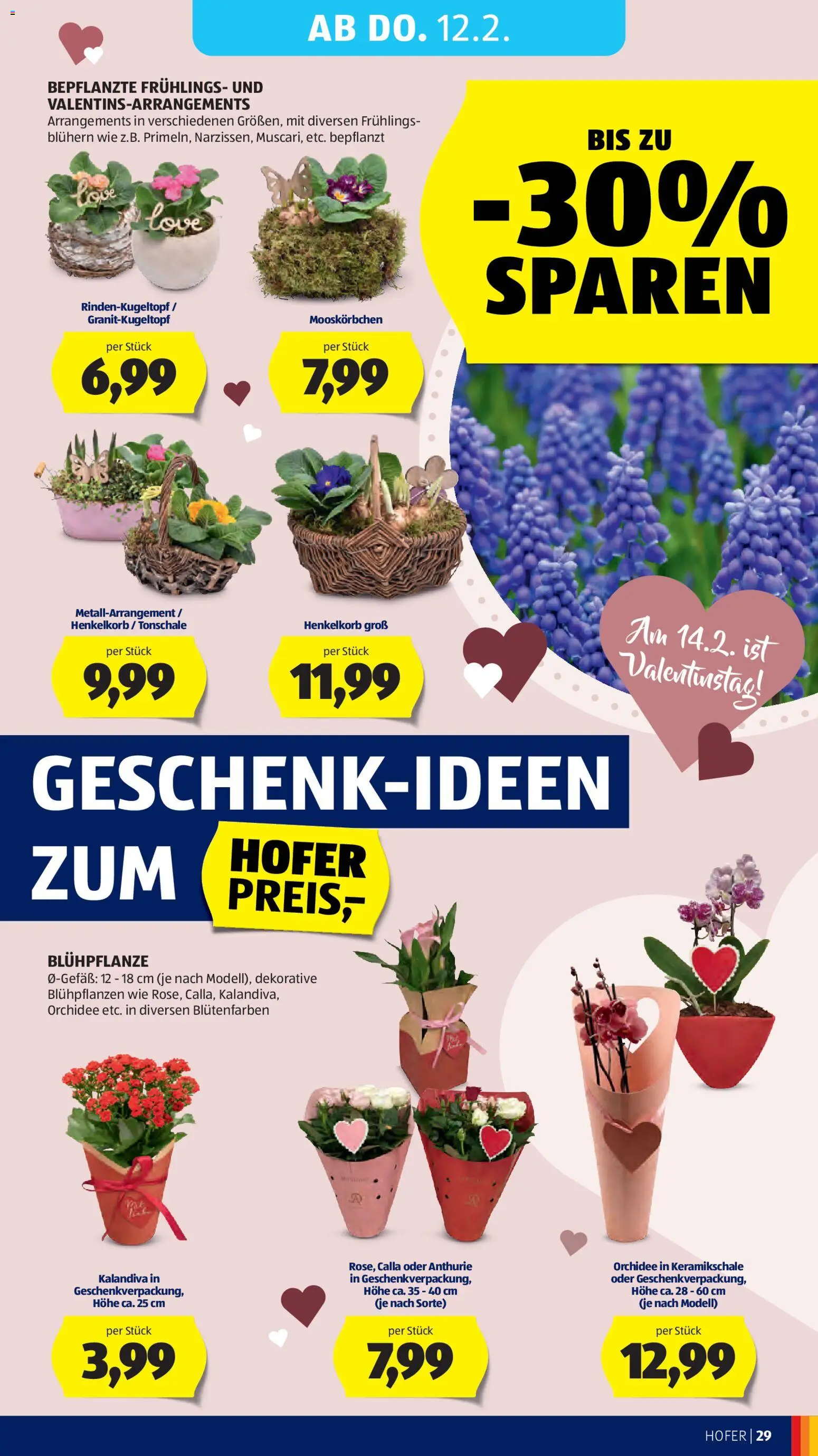 Hofer AT akciós ujság - amely érvényes a következő dátumtól: 06.02.2026 | Oldal: 33