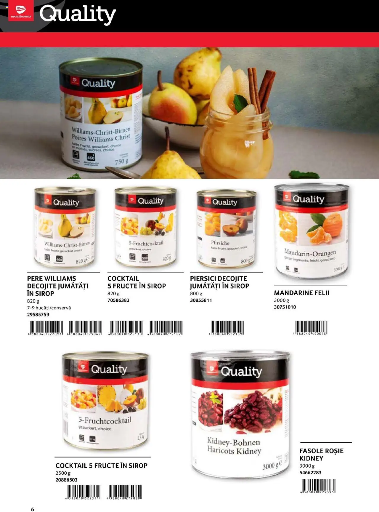 Catalog Selgros - Transgourmet – valabil de la 29.02.2024 | Pagină: 6 | Produse: Cocktail, Sirop, Mandarine, Fructe