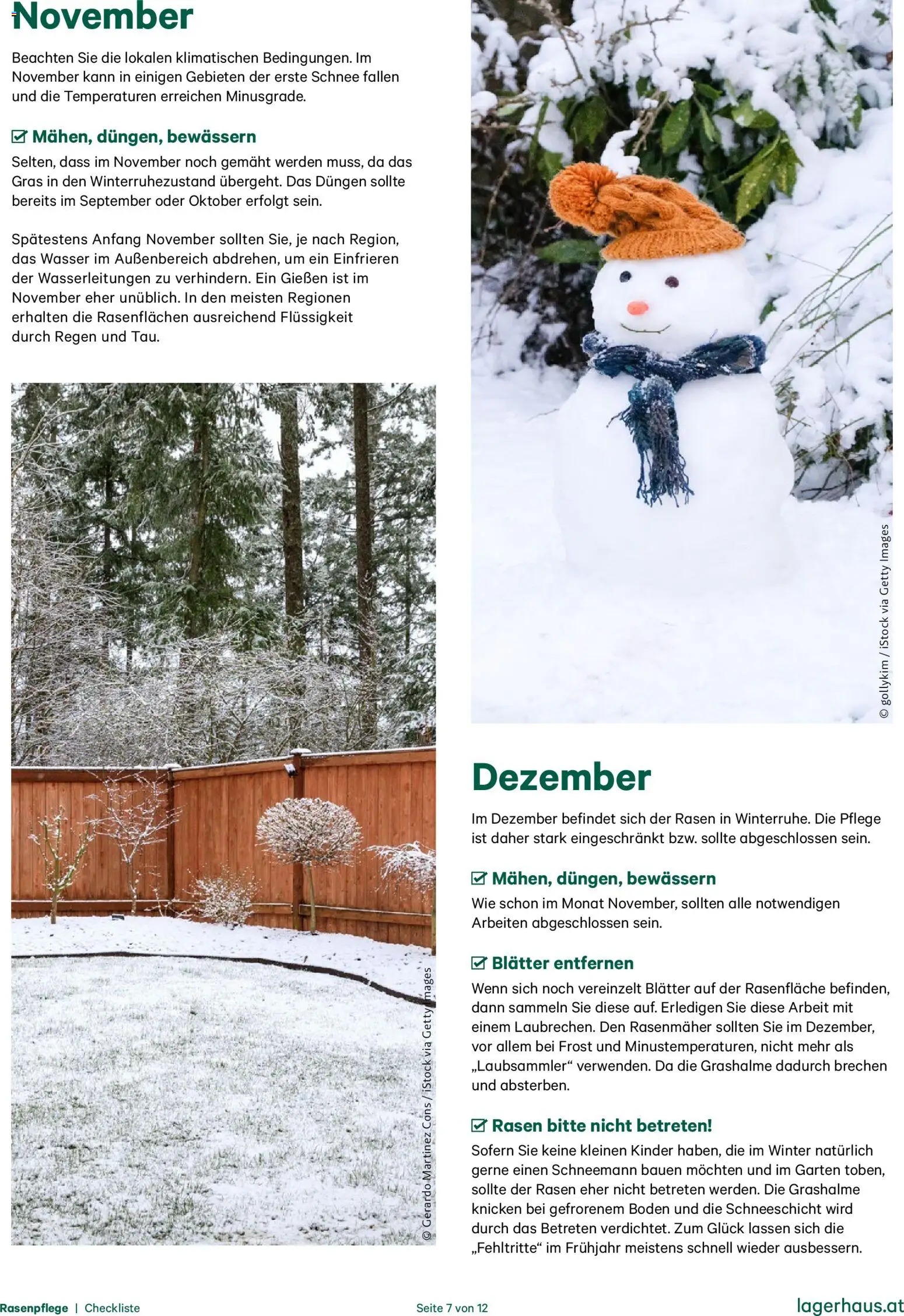 Lagerhaus  Checkliste Rasenpflege gültig ab 01.01.2025 | Seite: 7 | Produkte: Wasser, Rasenmäher