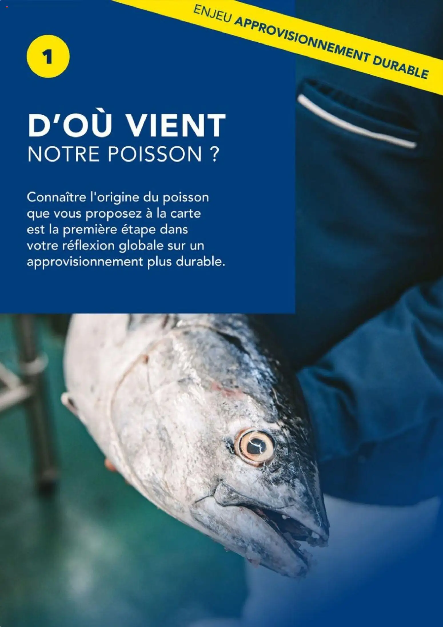 {H1} | Page: 8 | Produits: Poisson