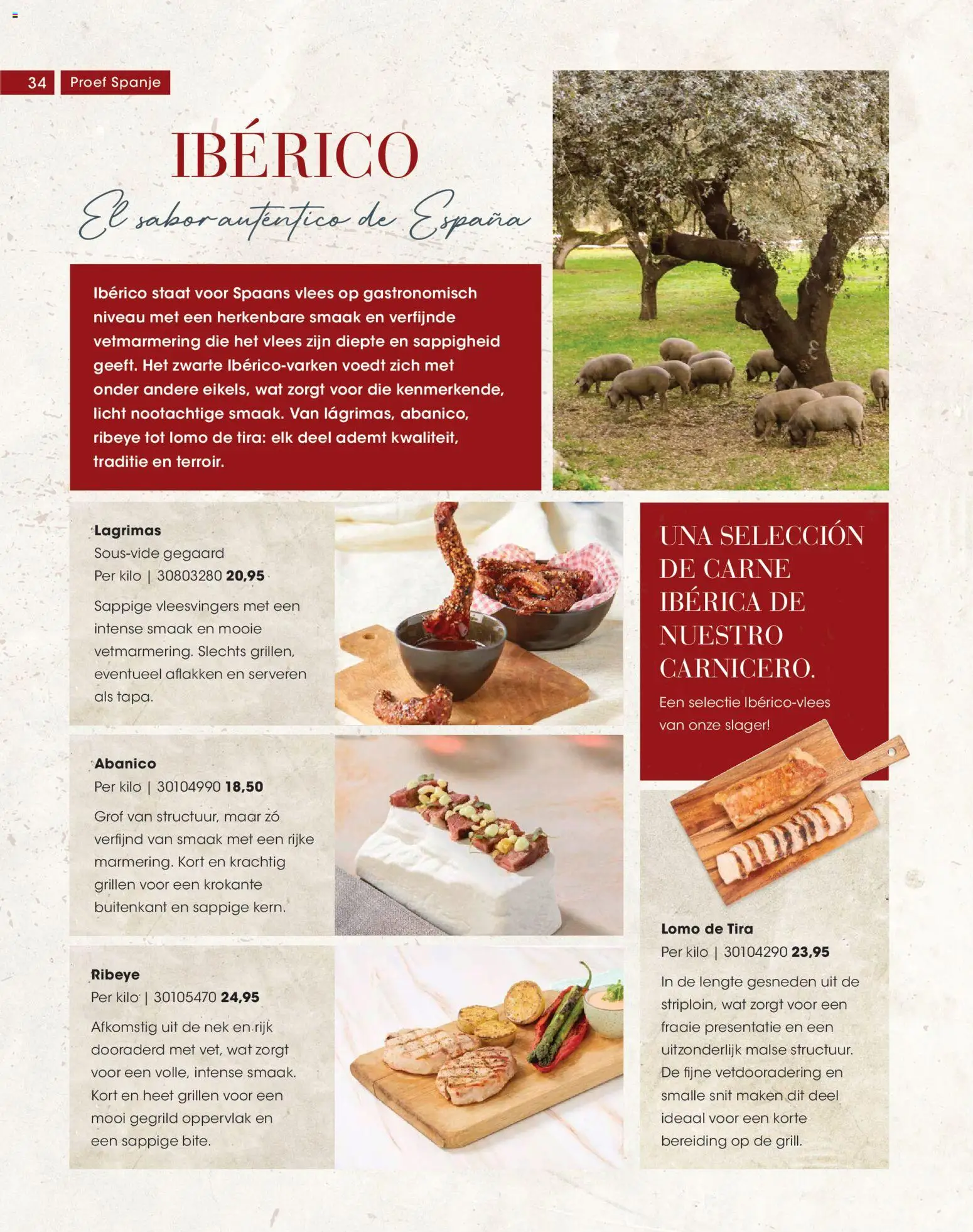 {H1} | Pagina: 34 | Producten: Kisperec