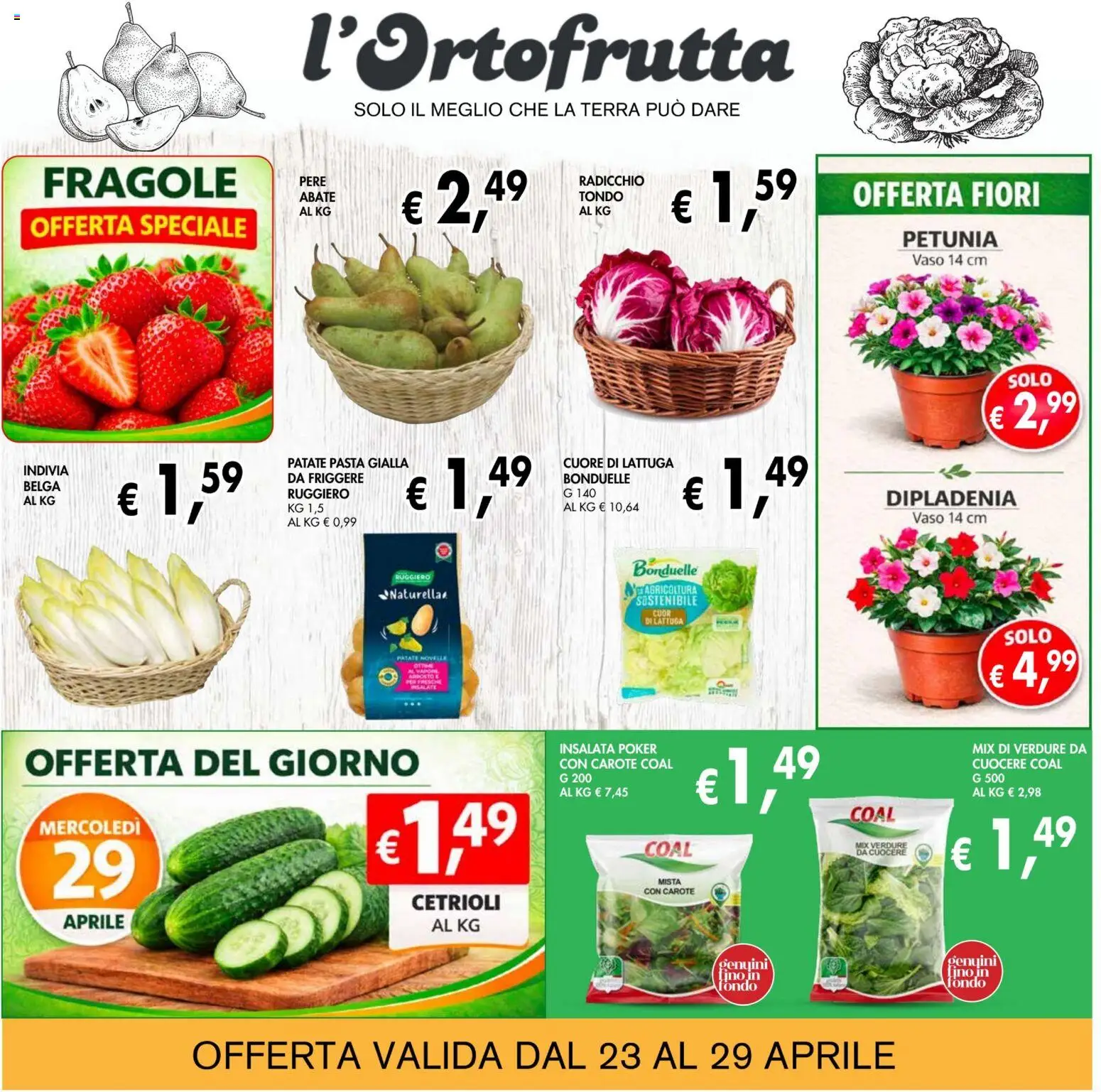 Volantino Coal del 23.04.2026 | Pagina: 2 | Prodotti: Insalata, Carote, Lattuga, Terra