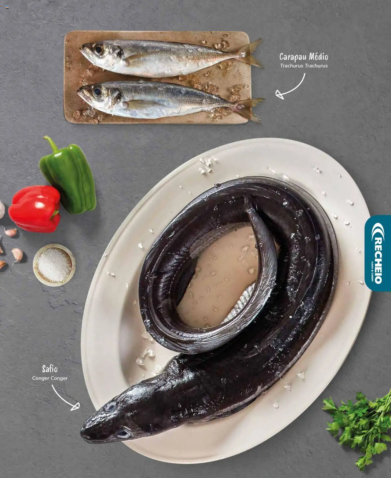 Recheio Peixaria │ válido de 19.09.2024 | Página: 15