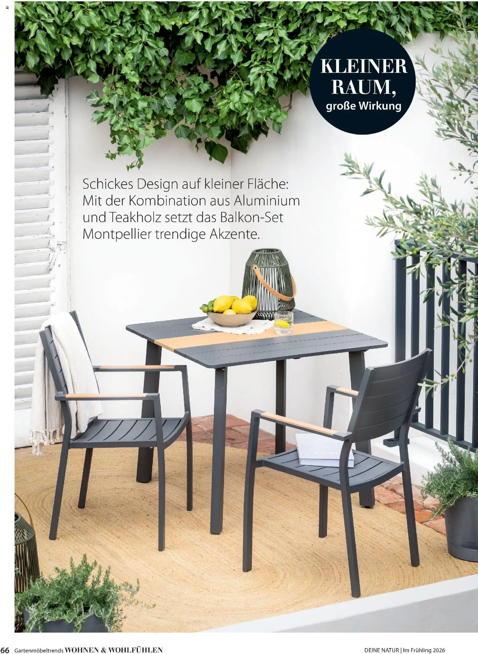 Dehner Flugblatt gültig ab 05.03.2026 | Seite: 66