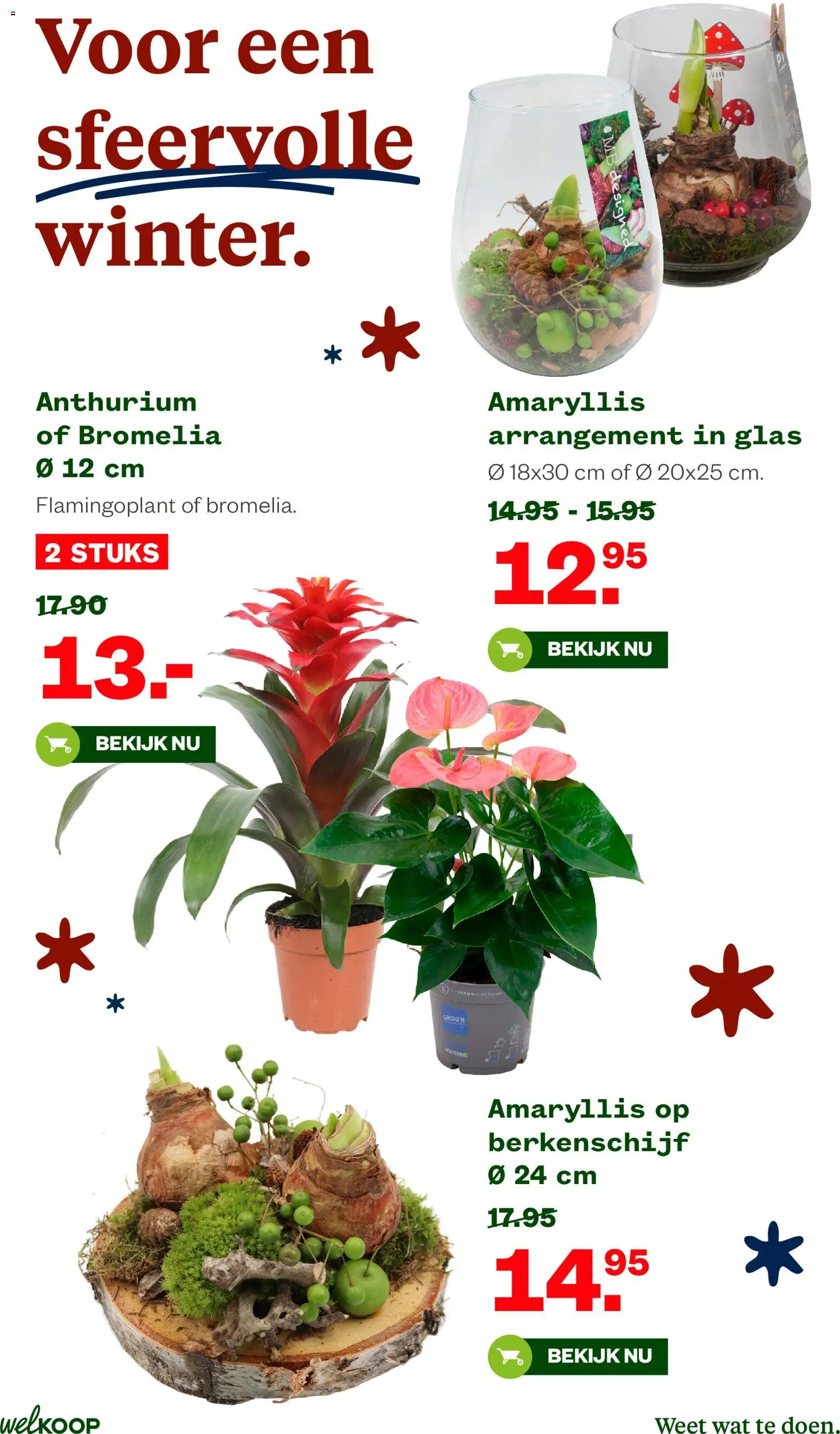 {H1} | Pagina: 31 | Producten: Granen, Oliën