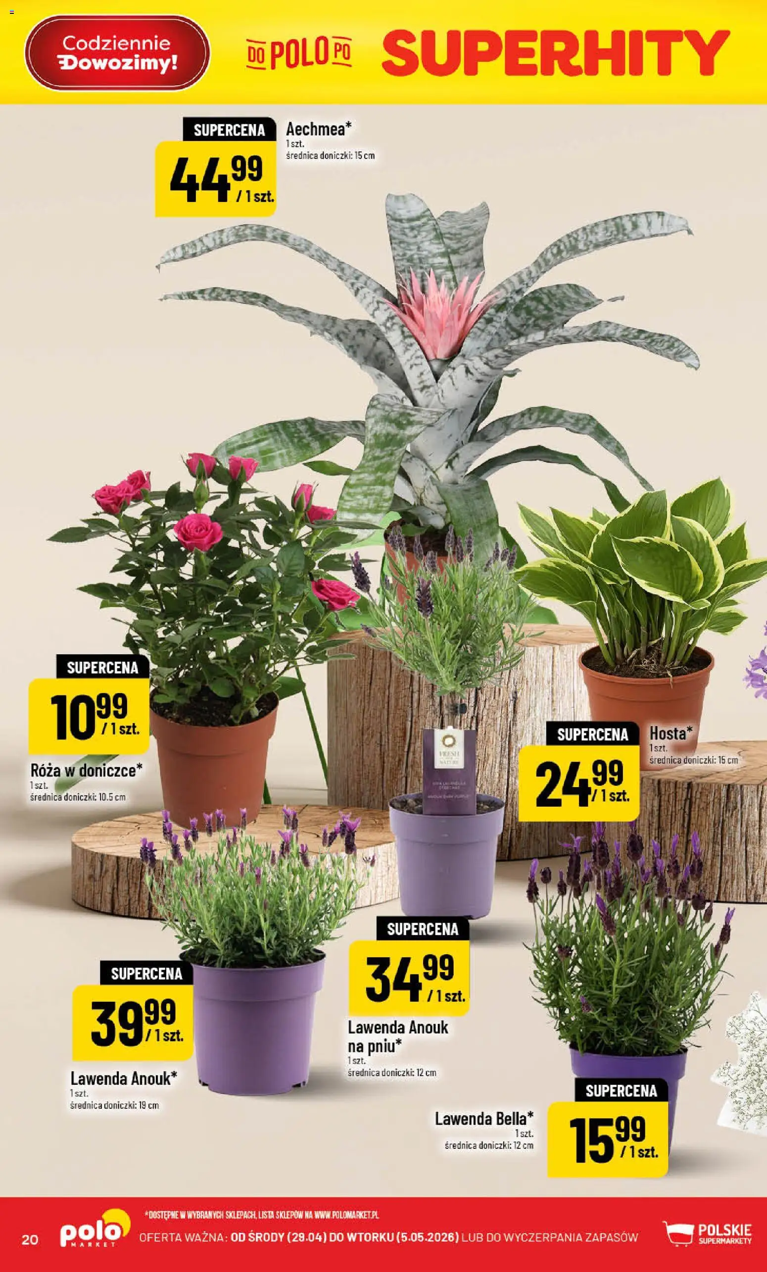 POLOmarket gazetka od 29.04.2026 | Strona: 20 | Produkty: Doniczki
