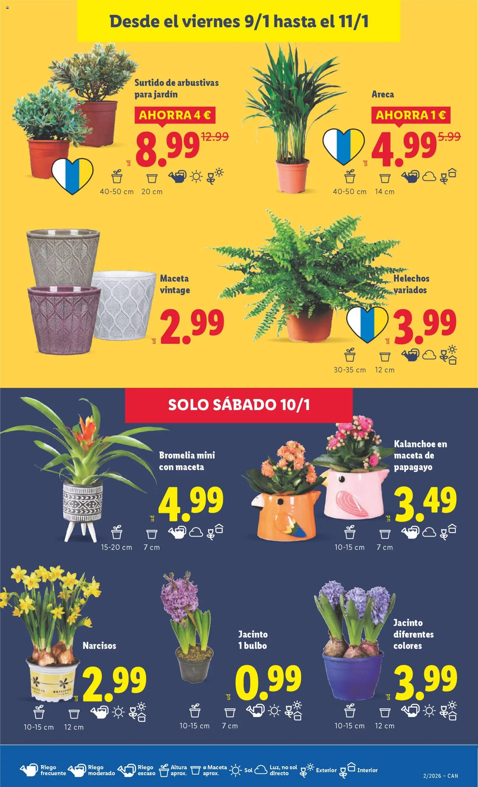 Lidl - Canarias │ válido desde el 05.01.2026 | Página: 33 | Productos: Maceta