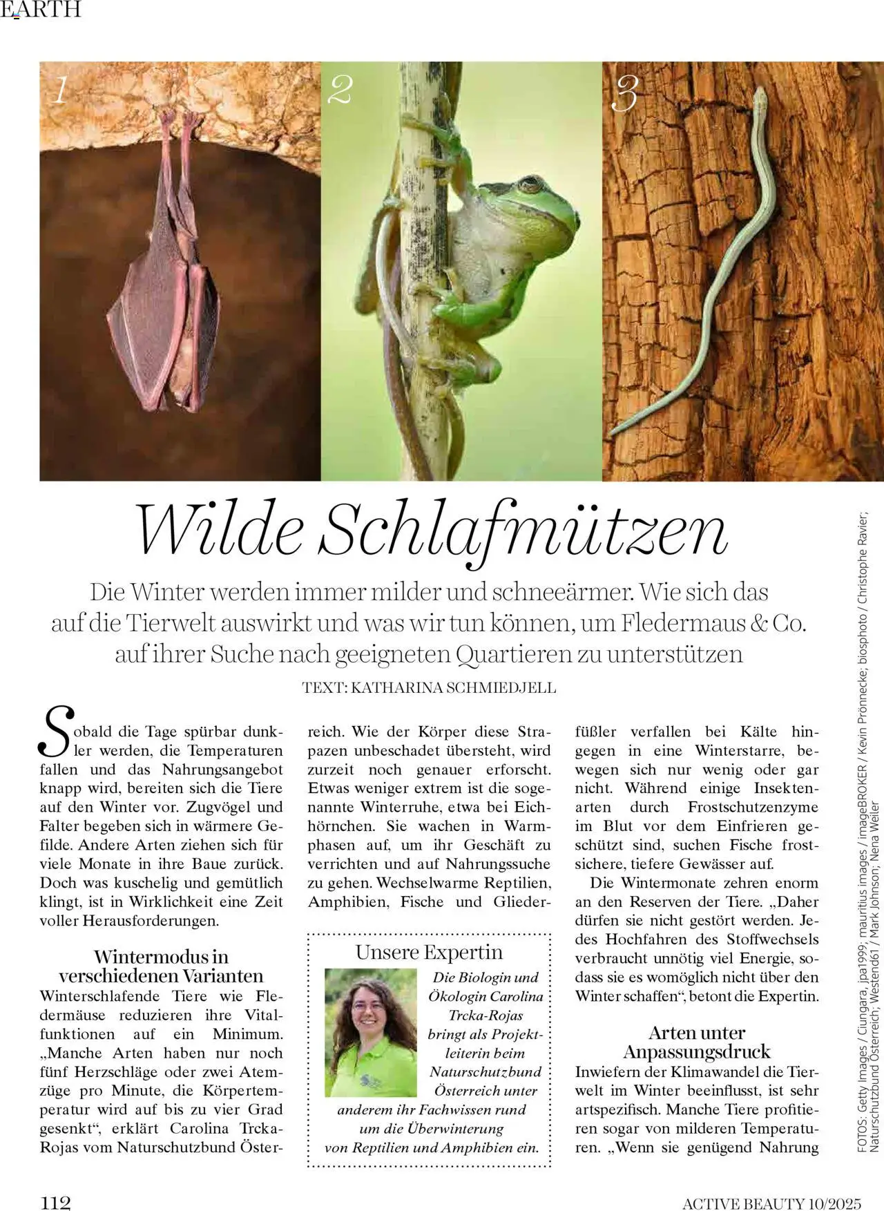 dm drogerie markt Active Beauty Magazin 10/2025 gültig ab 01.10.2025 | Seite: 112