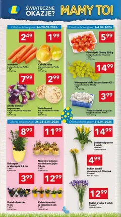 Pogląd oferty "Lewiatan gazetka - Legnica" - ważna od 26.03.2026 | Strona: 4 | Produkty: Winogrona, Śliwki, Doniczka, Kalanchoe