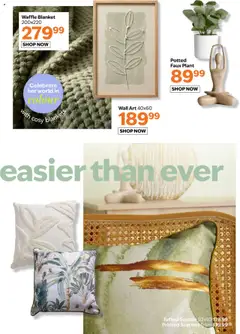 Sheet Street Specials │ valid from 31.07.2025 | Page: 3