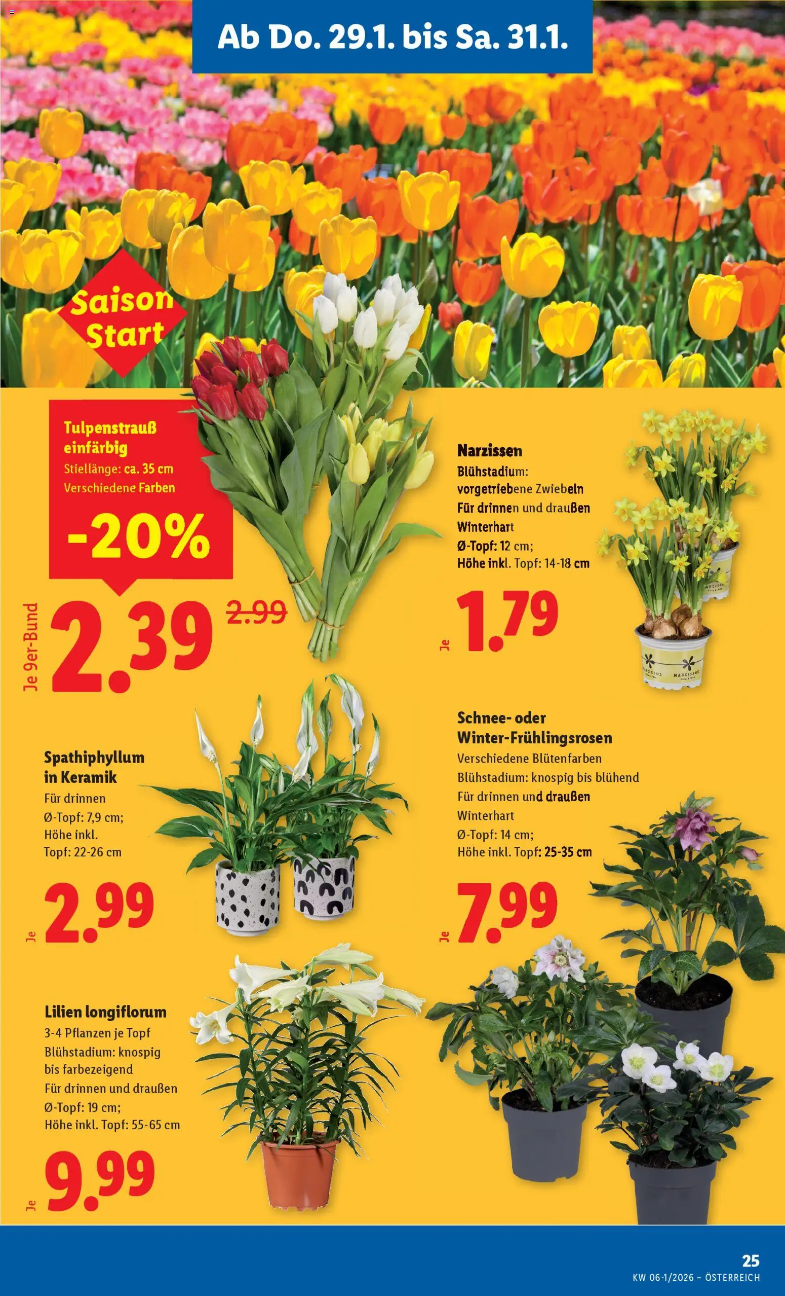 Lidl Flugblatt - Oberpullendorf, Güssing, Oberwart gültig ab 29.01.2026 | Seite: 27