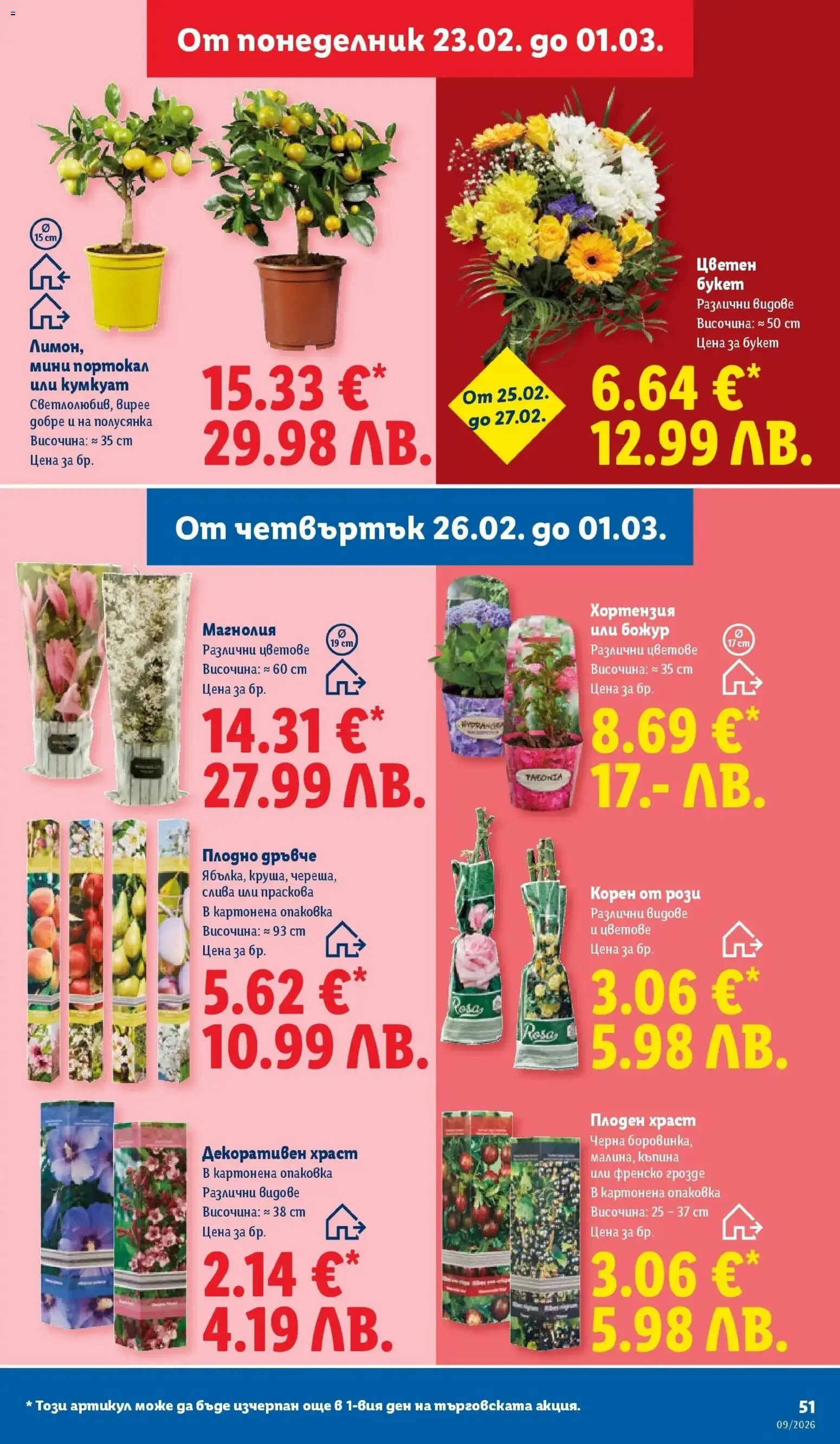 {H1} | Страница: 51 | Продукти: Портокал, Праскова, Грозде