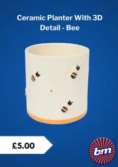 Preview of B&M - Offers valid from 25.02.2026 | Page: 2 | Products: Planter