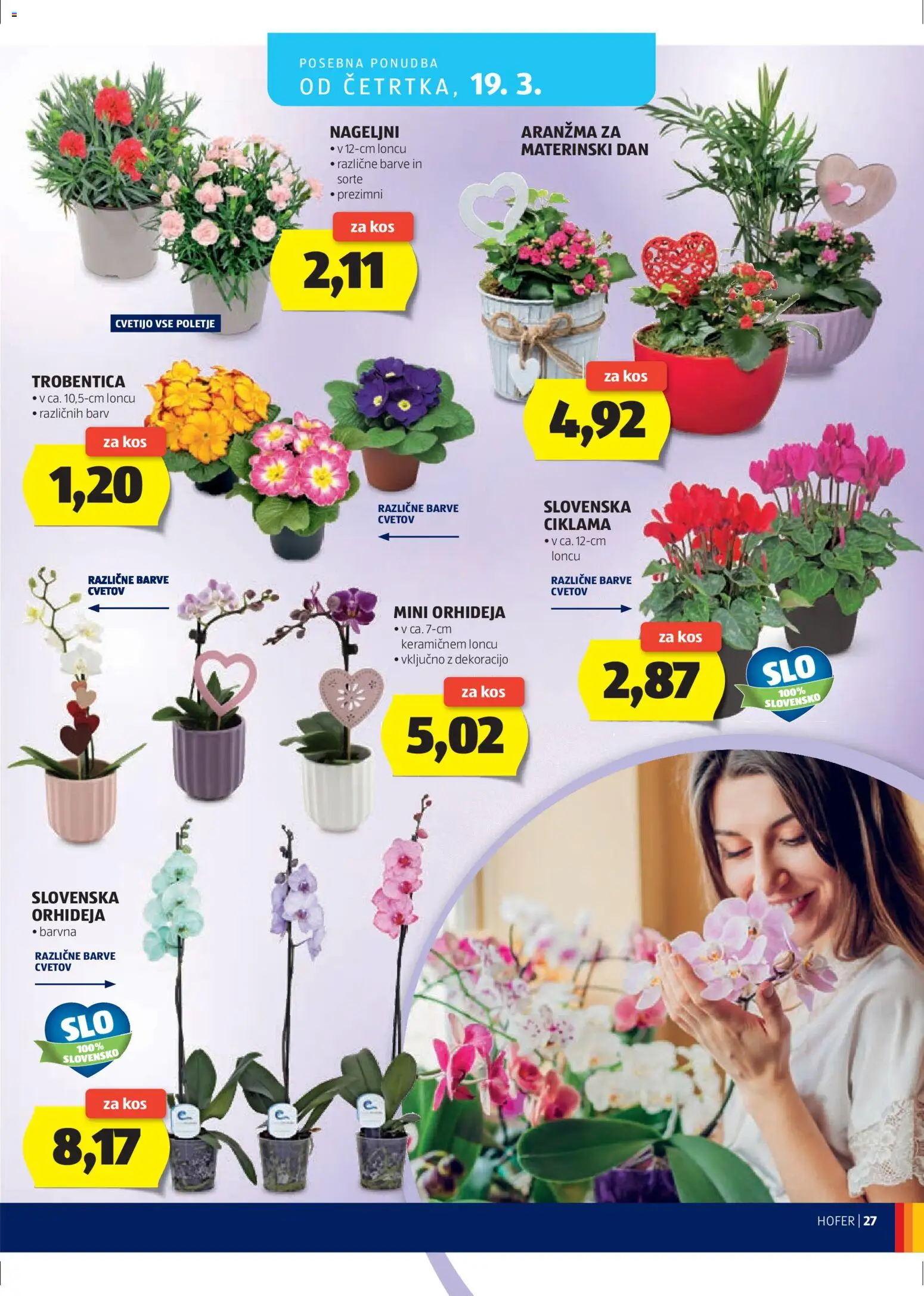 Hofer SI katalog | vrijedi od 11.03.2026 | Stranica: 27 | Proizvodi: Orhideja