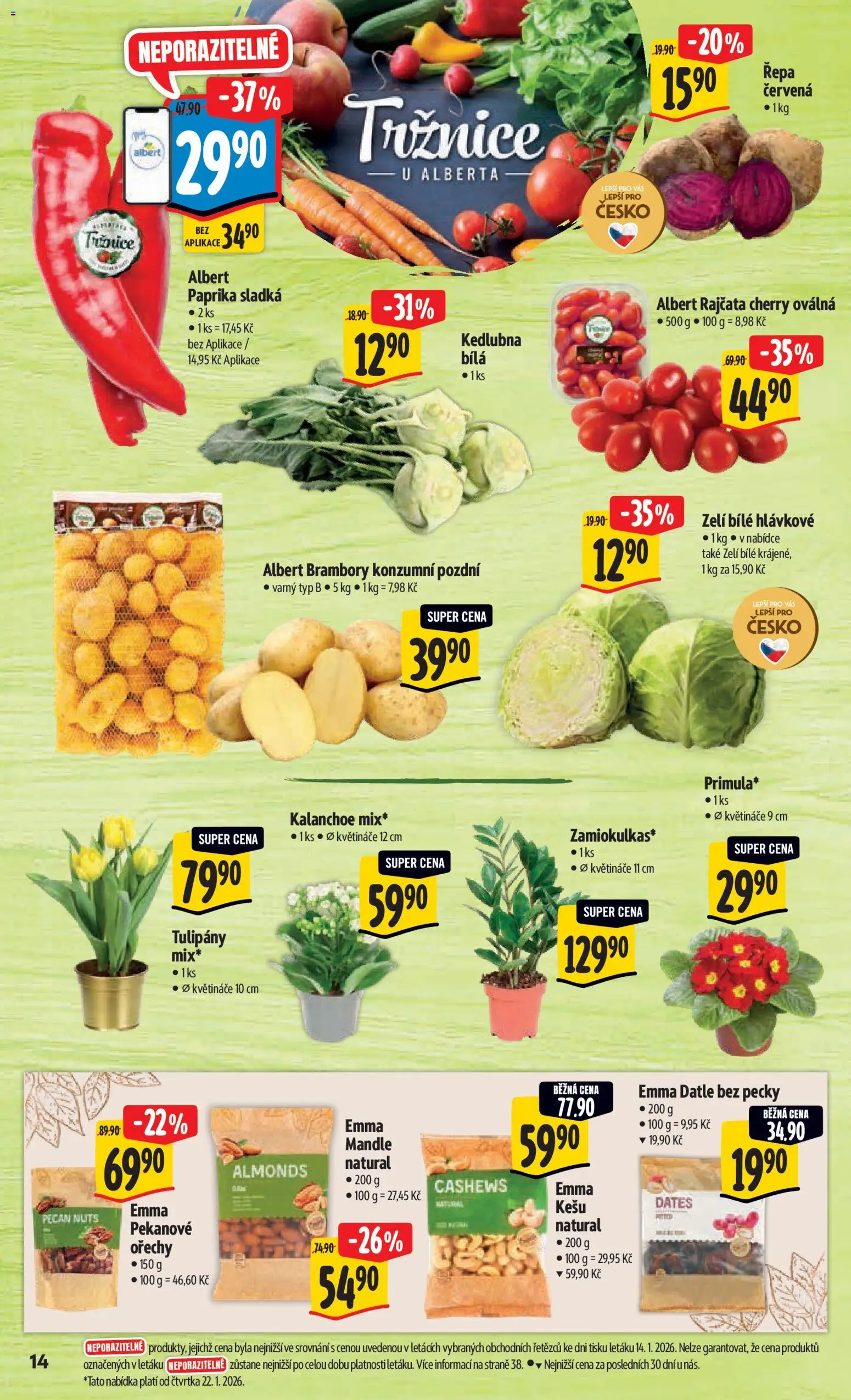 Albert leták - Hypermarket od 21.01.2026 | Strana: 19 | Produkty: Květináče, Rajčata, Datle, Kedlubna