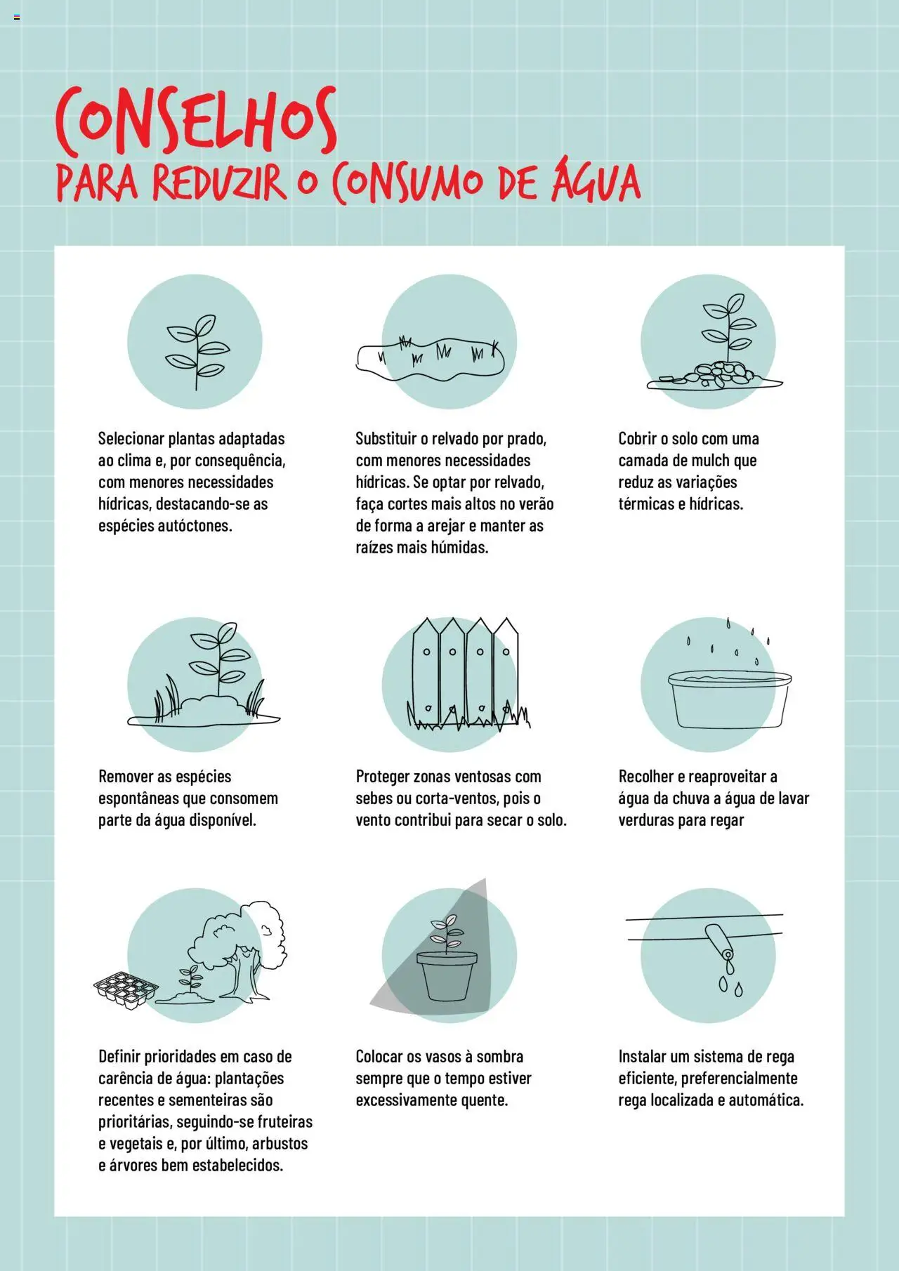 BricoMarché Rega │ válido de 17.01.2024 | Página: 6 | Produtos: Faca