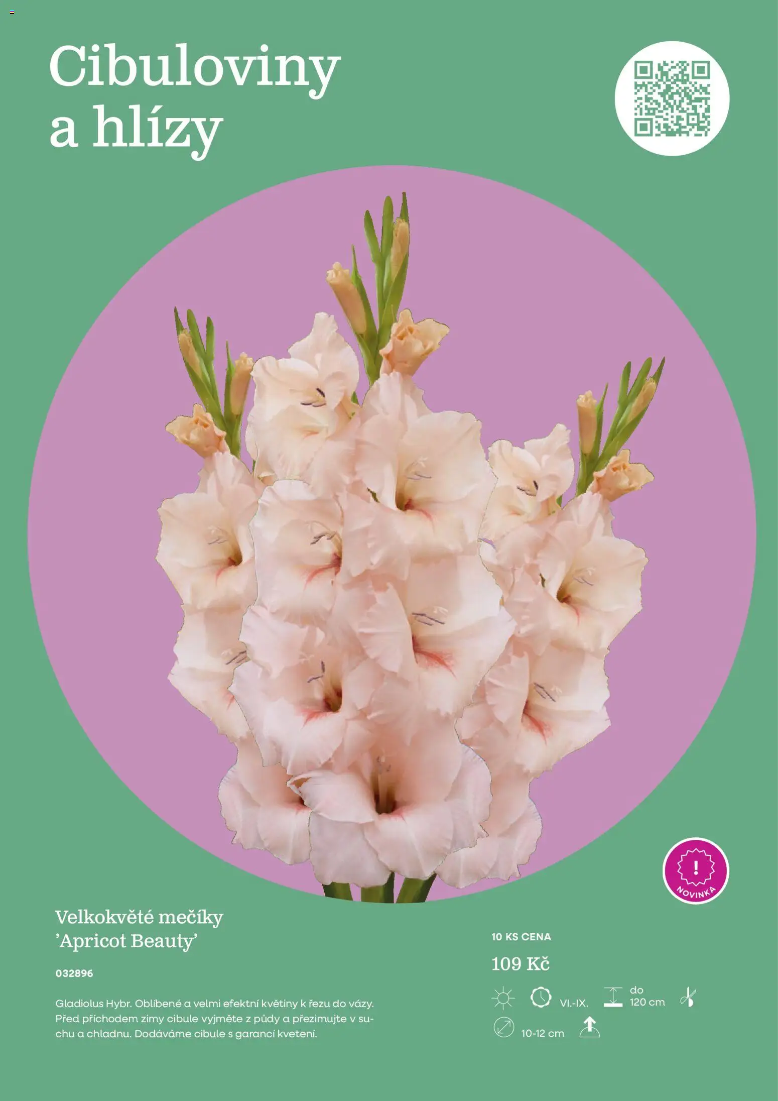 Starkl katalog od 25.02.2026 | Strana: 79 | Produkty: Květiny, Cibule