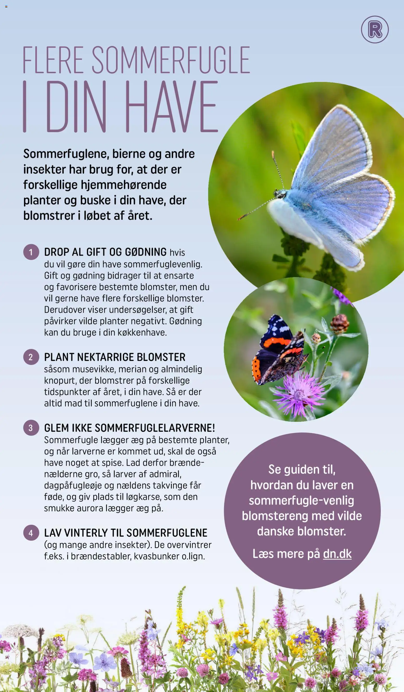 Rema 1000 tilbudsavis – gyldig fra 03.03.2026 | Side: 8 | Produkter: Æg, Søm