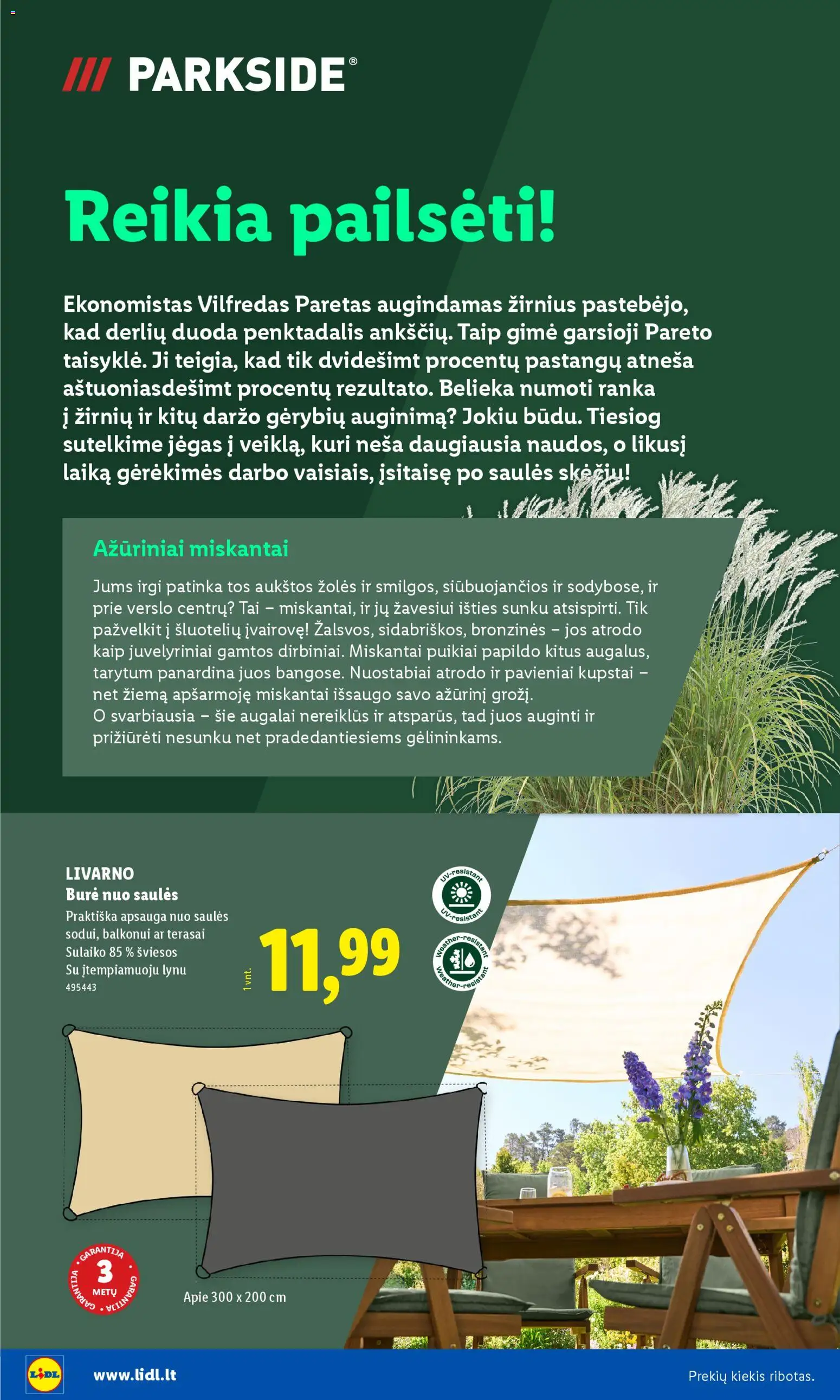 LIDL akcijos nuo 30.03.2026 | Puslapis: 10