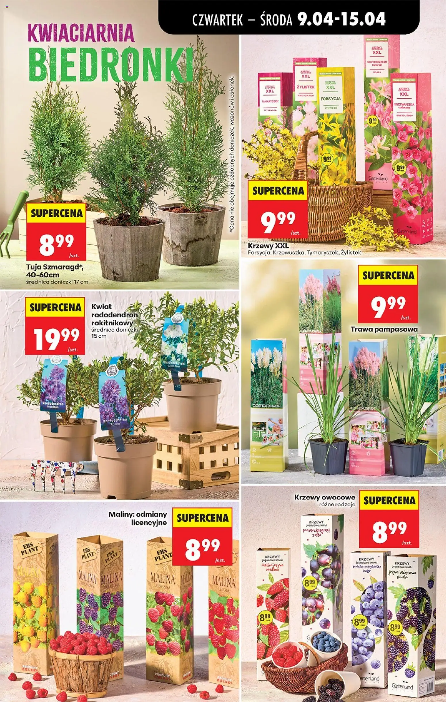 Biedronka gazetka od czwartku od 09.04.2026 | Strona: 83 | Produkty: Malina, Krzewy owocowe, Doniczki, Trawa pampasowa