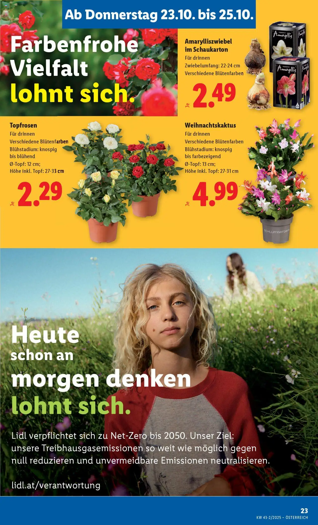 Lidl Flugblatt - Oberpullendorf, Güssing, Oberwart gültig ab 23.10.2025 | Seite: 29
