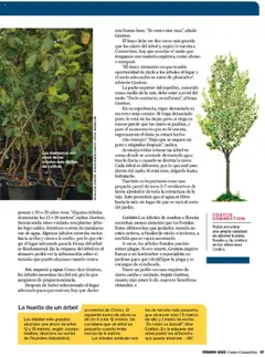 árboles frutales, florales y de sombra, Amplia variedad de árboles frutales, florales y de sombra en los almacenes Costco. │ válido desde el 03.07.2025 | Página: 37 | Productos: Sombra